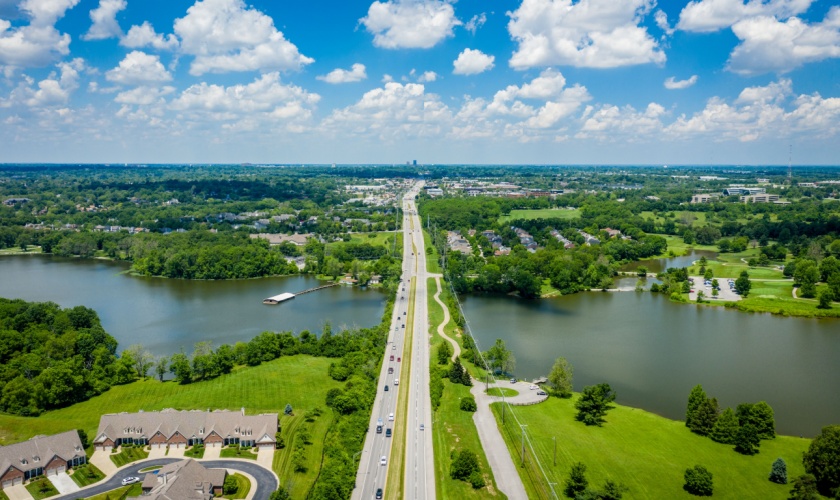 Why Pest Control in Lexington, KY Is a Year-Round Necessity