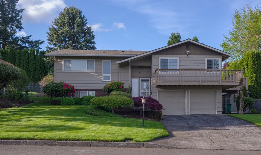 Who’s the Best Pest Control Company for New Homeowners in Lexington, KY?