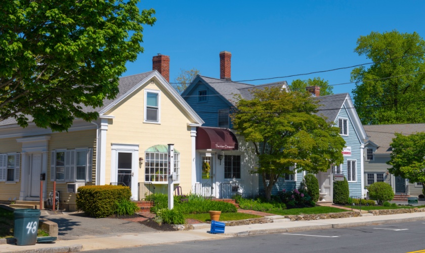 How Ongoing Pest Control Protects Lexington Homes Year-Round
