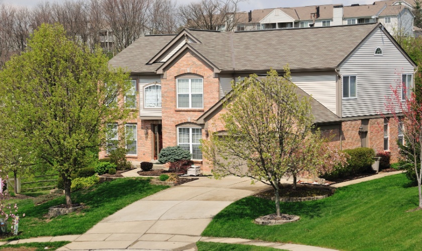 Top Pest Issues Affecting Andover Neighborhood Homes in Lexington, KY