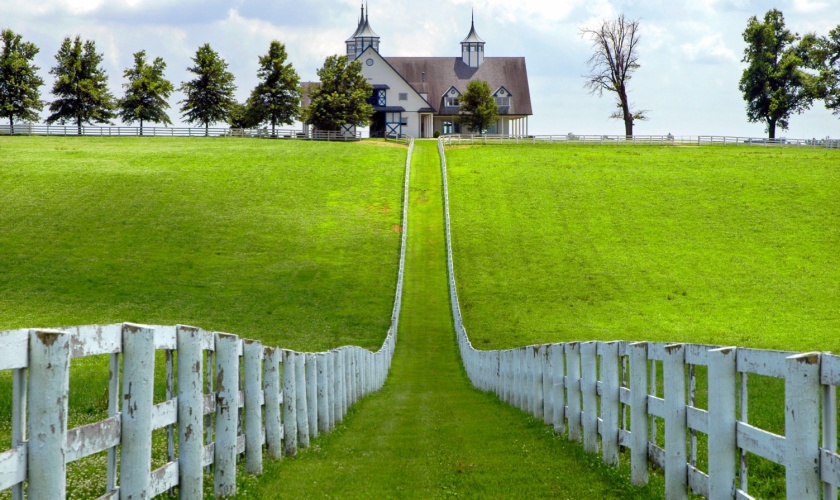 Pest Control Considerations for Horse Farms and Rural Properties Around Lexington