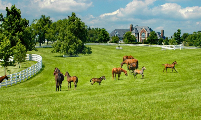 How Kentucky’s Horse Farms Influence Pest Activity in Nearby Neighborhoods
