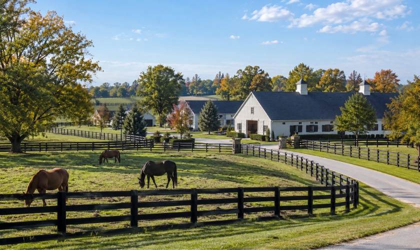 Pest Control Around Lexington Horse Farms: Protecting Barns, Feed Storage and Outbuildings
